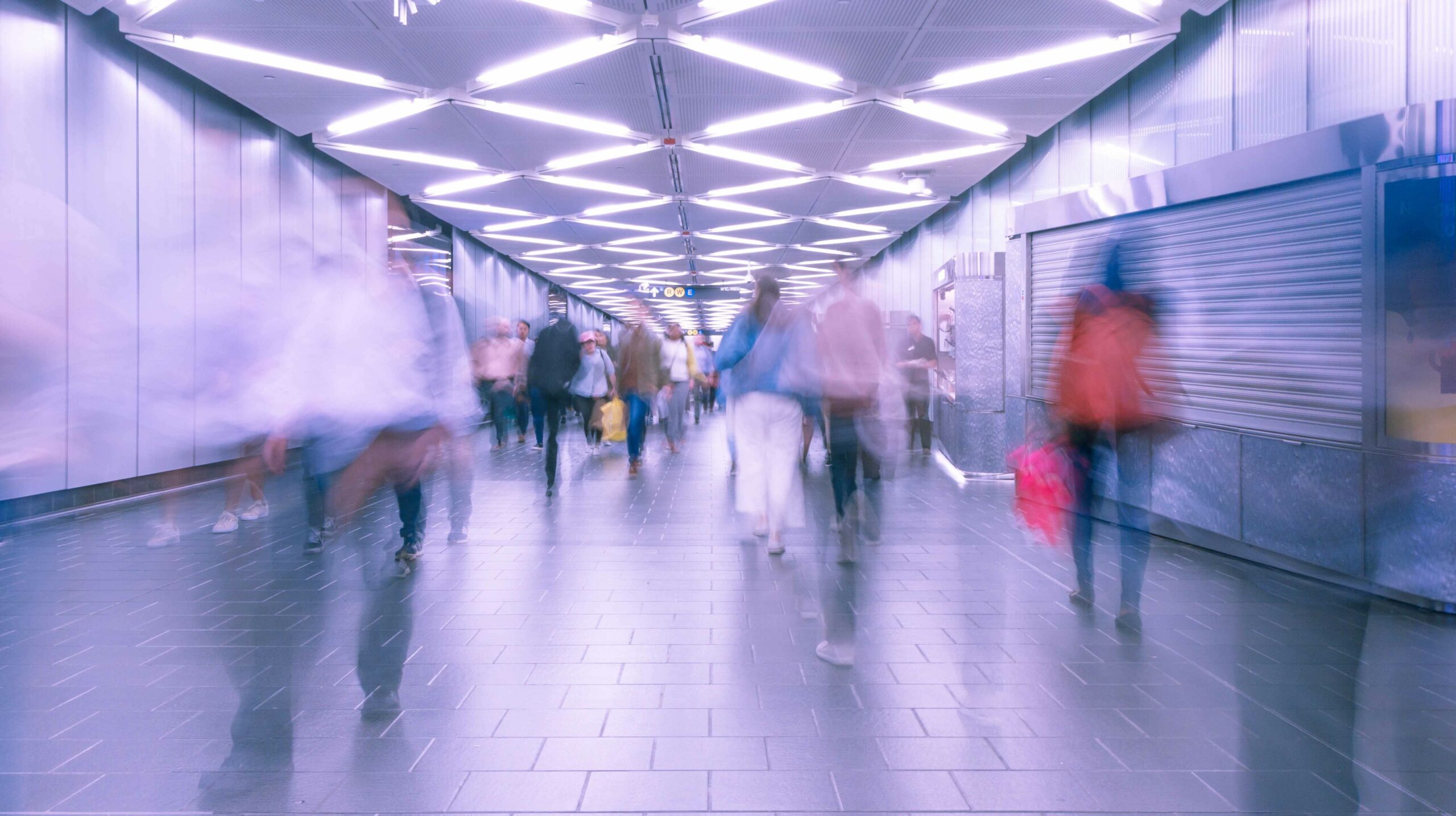 Which upskilling program is right for you?